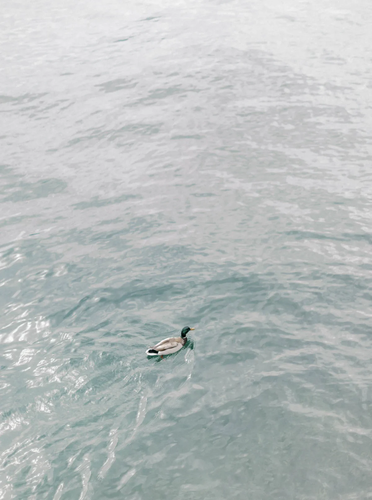 sesja narzeczenska lake como jakub majevski 39