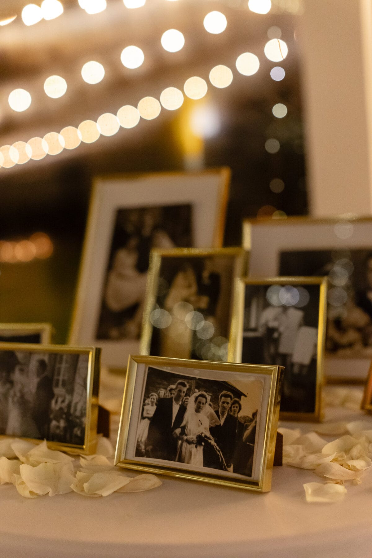 palac czosnowski fotograf slubny jakubmajevski 221